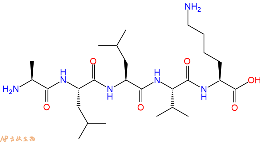 专肽生物产品H2N-Ala-Leu-Leu-Val-Lys-OH