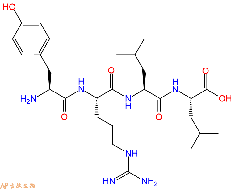 专肽生物产品H2N-Tyr-Arg-Leu-Leu-OH