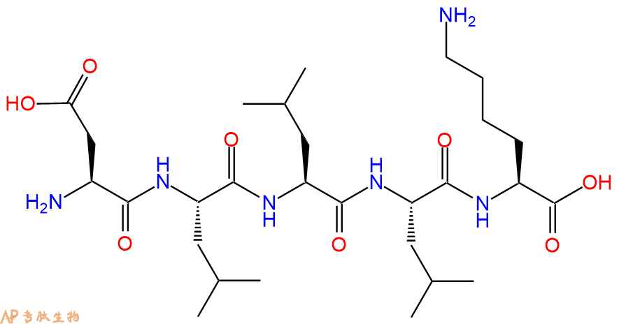 专肽生物产品H2N-Asp-Leu-Leu-Leu-Lys-OH