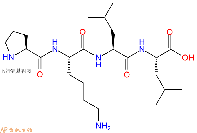 专肽生物产品H2N-Pro-Lys-Leu-Leu-OH