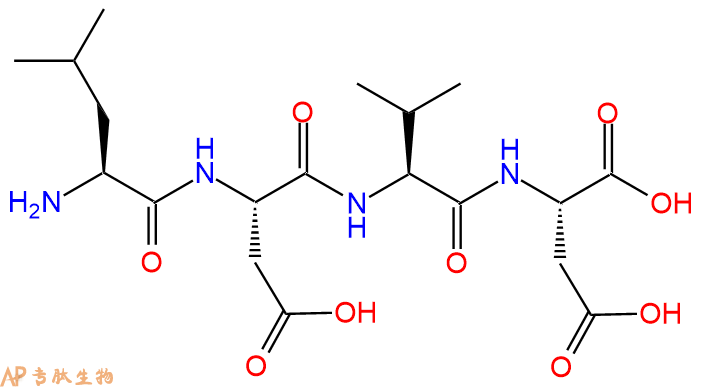 专肽生物产品H2N-Leu-Asp-Val-Asp-OH