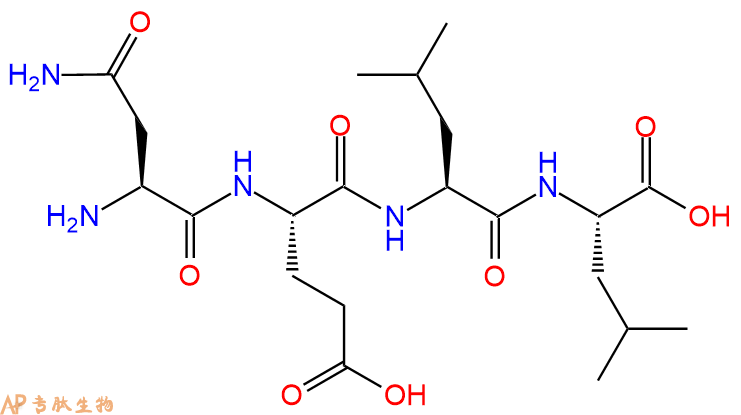 专肽生物产品H2N-Asn-Glu-Leu-Leu-OH