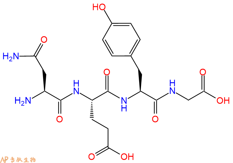 专肽生物产品H2N-Asn-Glu-Tyr-Gly-OH