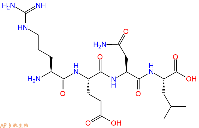 专肽生物产品H2N-Arg-Glu-Asn-Leu-OH