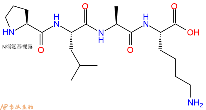 专肽生物产品H2N-Pro-Leu-Ala-Lys-OH