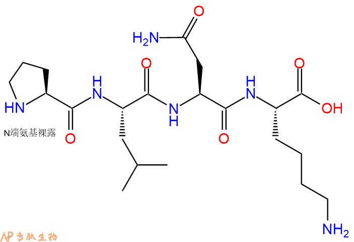 专肽生物产品H2N-Pro-Leu-Asn-Lys-OH