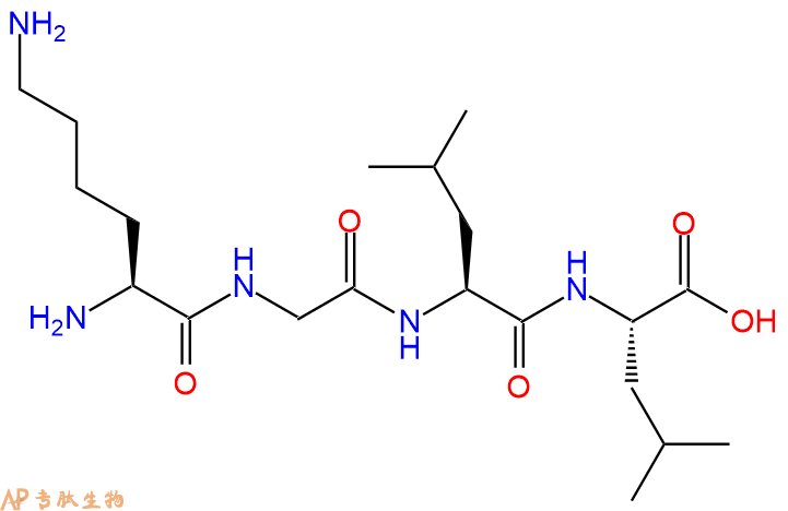 专肽生物产品H2N-Lys-Gly-Leu-Leu-OH