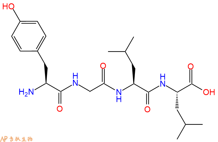 专肽生物产品H2N-Tyr-Gly-Leu-Leu-OH