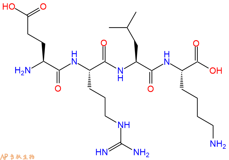 专肽生物产品H2N-Glu-Arg-Leu-Lys-OH