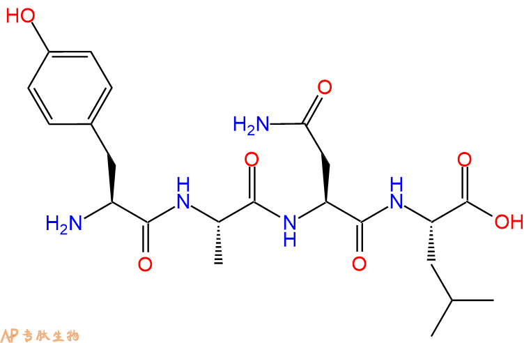 专肽生物产品H2N-Tyr-Ala-Asn-Leu-OH
