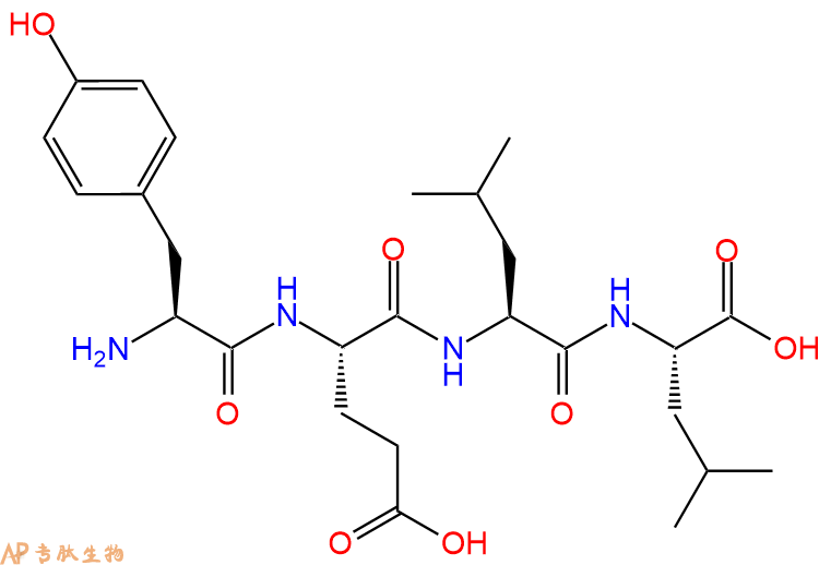 专肽生物产品H2N-Tyr-Glu-Leu-Leu-OH