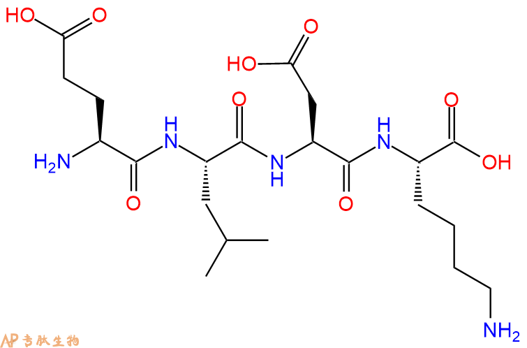 专肽生物产品H2N-Glu-Leu-Asp-Lys-OH