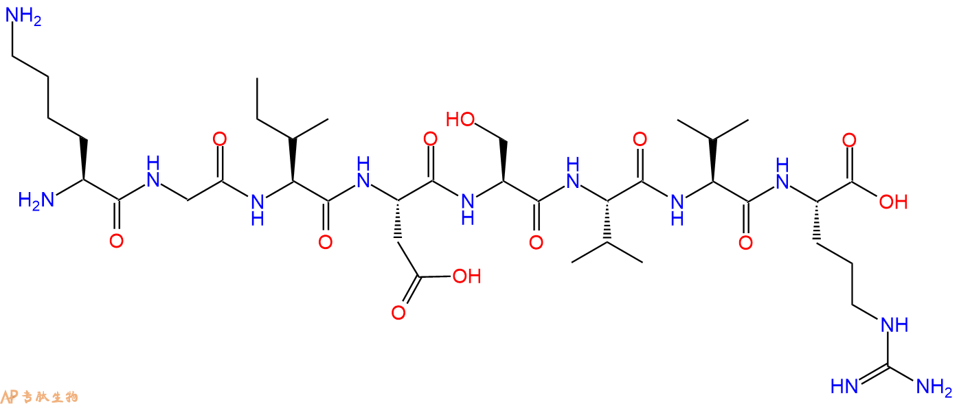 专肽生物产品H2N-Lys-Gly-Ile-Asp-Ser-Val-Val-Arg-OH