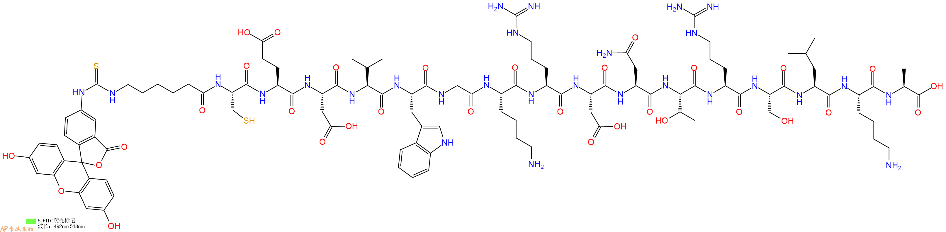 专肽生物产品5FITC-Ahx-Cys-Glu-Asp-Val-Trp-Gly-Lys-Arg-Asp-Asn-Thr-Arg-Ser-Leu-Lys-Ala-OH