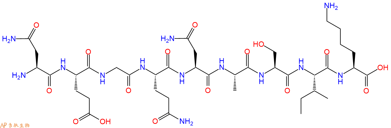 专肽生物产品H2N-Asn-Glu-Gly-Gln-Asn-Ala-Ser-Ile-Lys-OH