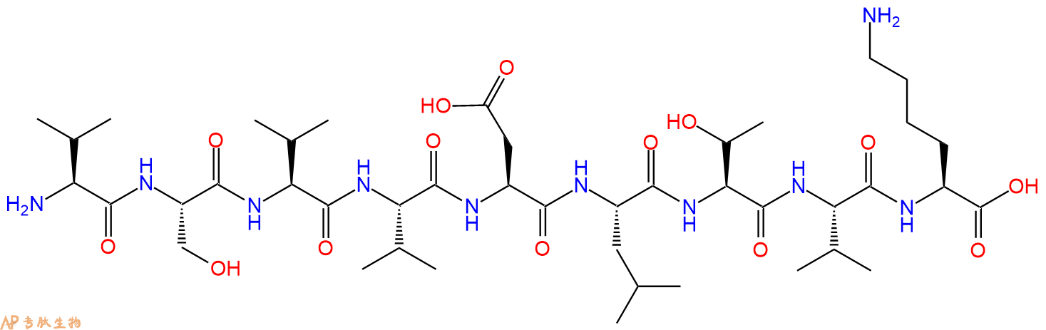 专肽生物产品H2N-Val-Ser-Val-Val-Asp-Leu-Thr-Val-Lys-OH