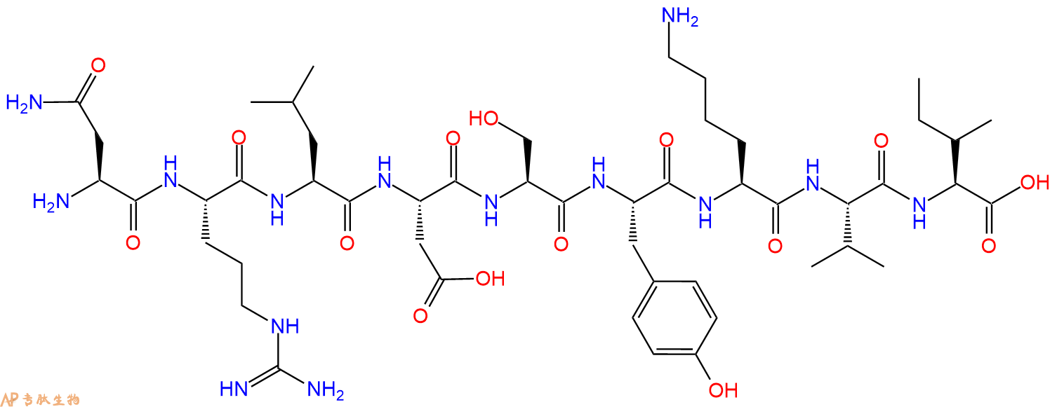 专肽生物产品H2N-Asn-Arg-Leu-Asp-Ser-Tyr-Lys-Val-Ile-OH