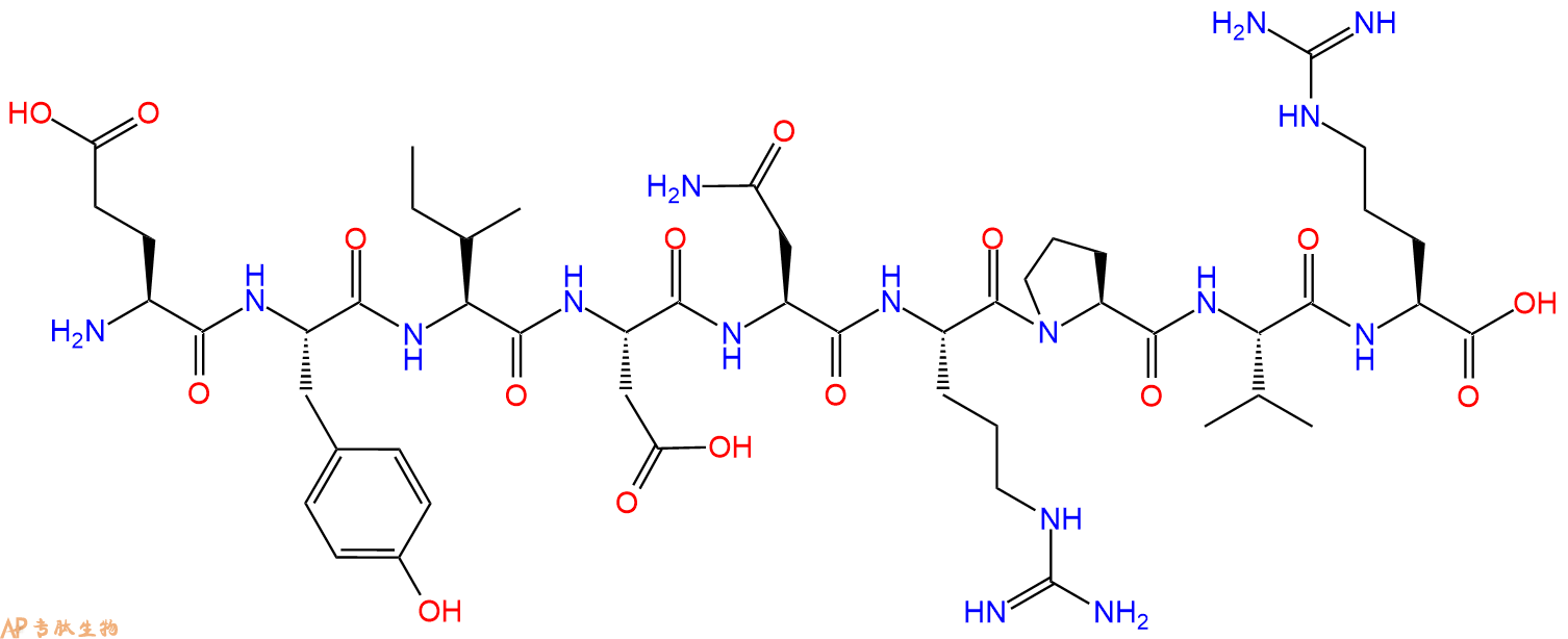 专肽生物产品H2N-Glu-Tyr-Ile-Asp-Asn-Arg-Pro-Val-Arg-OH