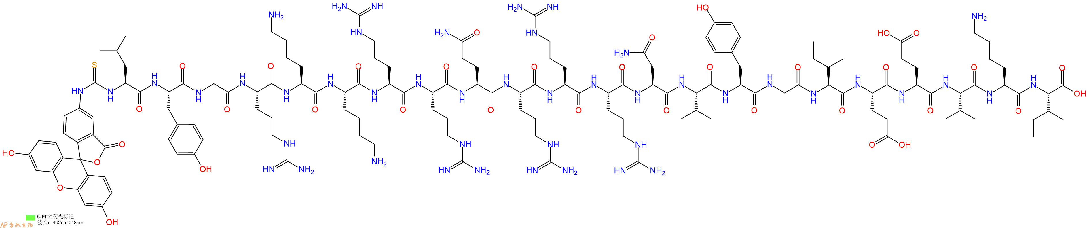 专肽生物产品5FITC-Leu-Tyr-Gly-Arg-Lys-Lys-Arg-Arg-Gln-Arg-Arg-Arg-Asn-Val-Tyr-Gly-Ile-Glu-Glu-Val-Lys-Ile-OH