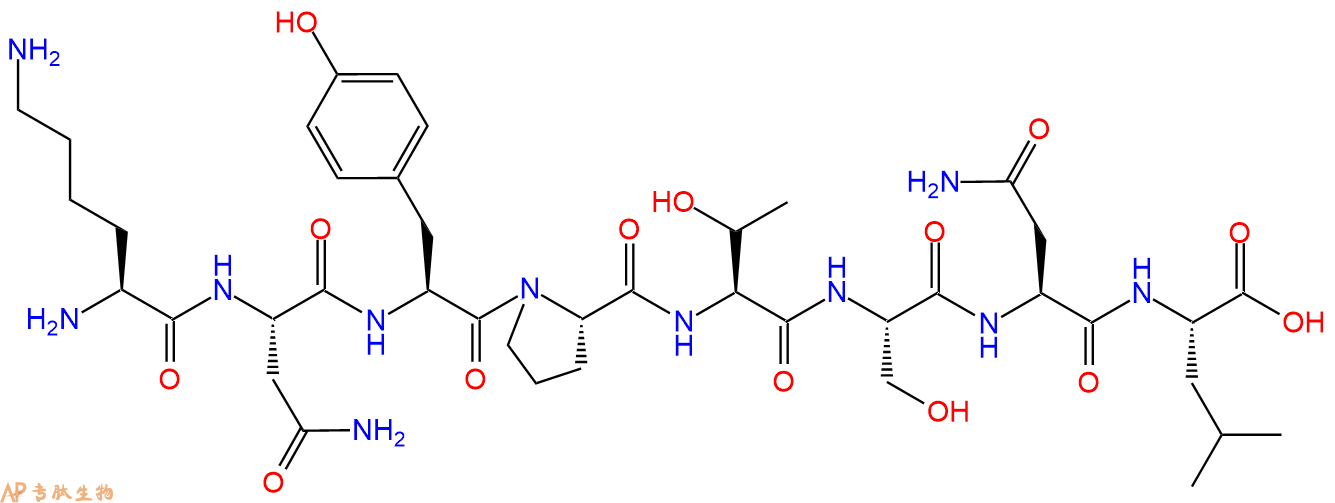 专肽生物产品H2N-Lys-Asn-Tyr-Pro-Thr-Ser-Asn-Leu-OH