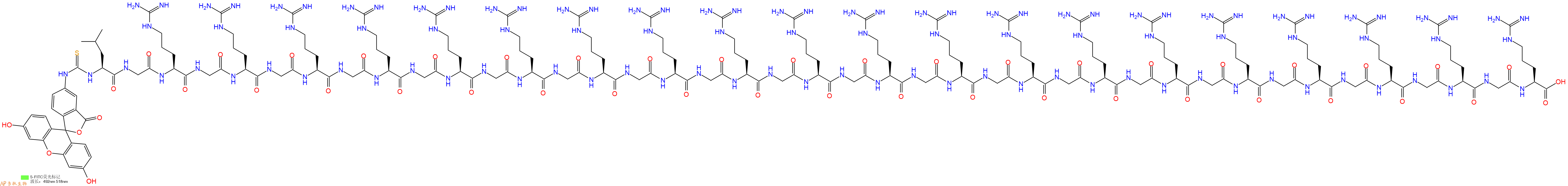 专肽生物产品5FITC-Leu-Gly-Arg-Gly-Arg-Gly-Arg-Gly-Arg-Gly-Arg-Gly-Arg-Gly-Arg-Gly-Arg-Gly-Arg-Gly-Arg-Gly-Arg-Gly-Arg-Gly-Arg-Gly-Arg-Gly-Arg-Gly-Arg-Gly-Arg-Gly-Arg-Gly-Arg-Gly-Arg-OH