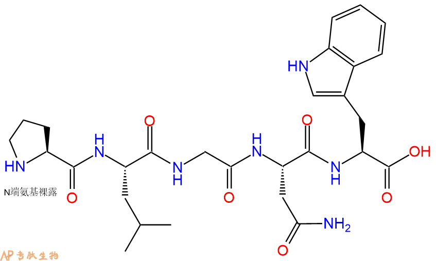专肽生物产品H2N-Pro-Leu-Gly-Asn-Trp-OH