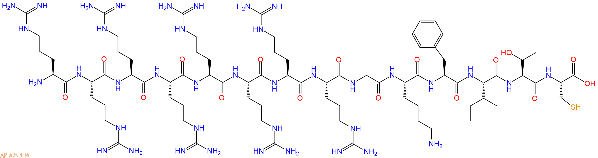 专肽生物产品H2N-Arg-Arg-Arg-Arg-Arg-Arg-Arg-Arg-Gly-Lys-Phe-Ile-Thr-Cys-OH
