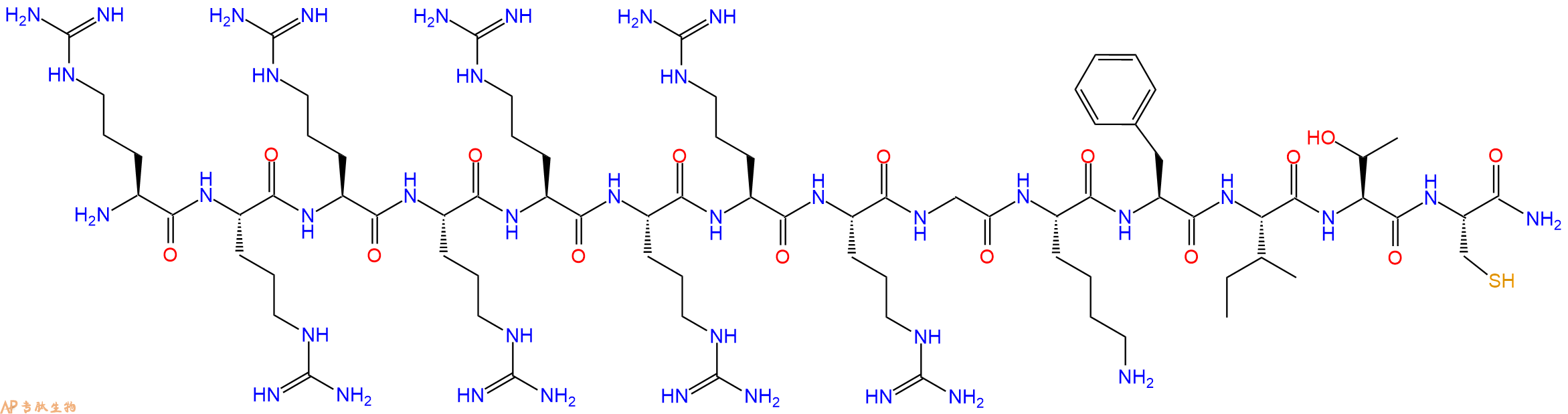 专肽生物产品H2N-Arg-Arg-Arg-Arg-Arg-Arg-Arg-Arg-Gly-Lys-Phe-Ile-Thr-Cys-CONH2