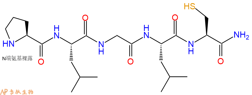 专肽生物产品PLGLC-NH2