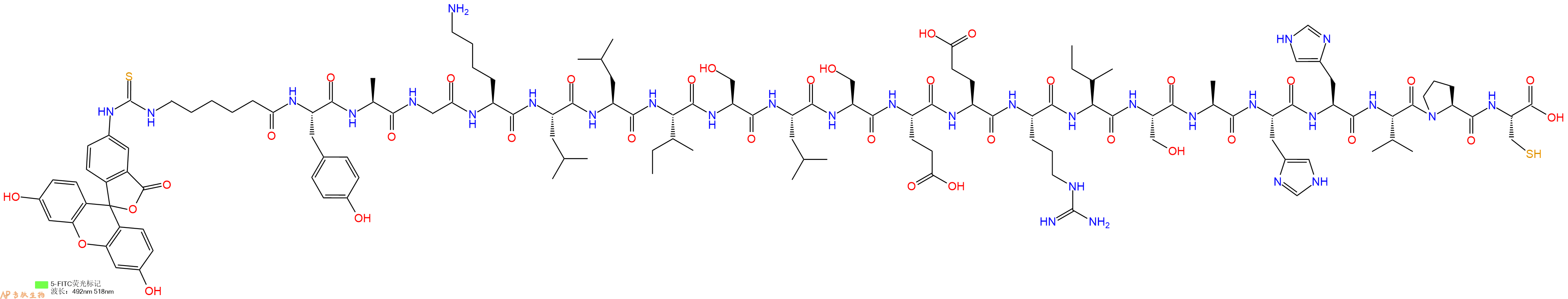 专肽生物产品5FITC-Ahx-Tyr-Ala-Gly-Lys-Leu-Leu-Ile-Ser-Leu-Ser-Glu-Glu-Arg-Ile-Ser-Ala-His-His-Val-Pro-Cys-OH