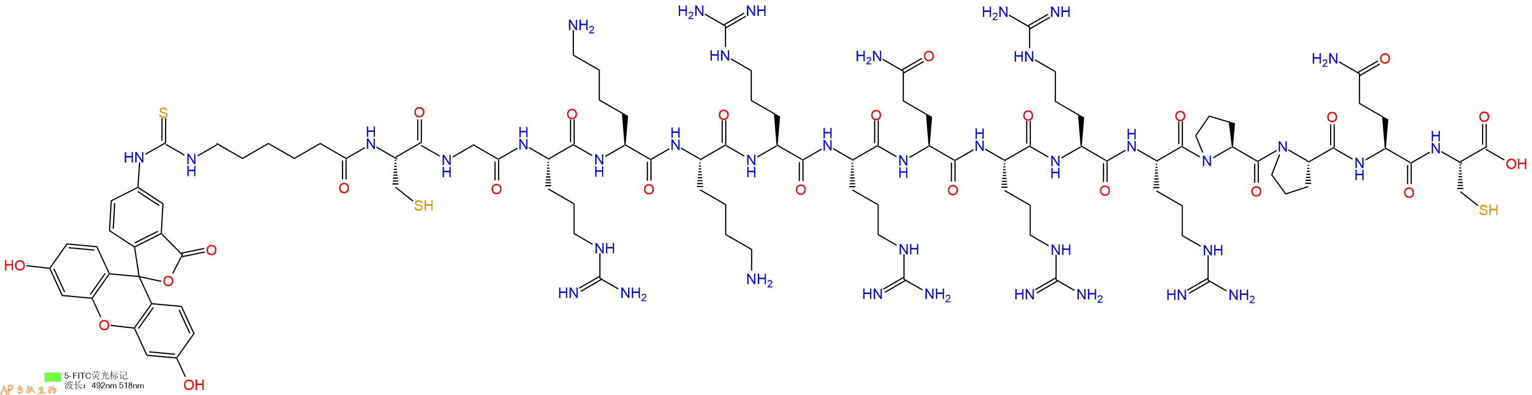 专肽生物产品5FITC-Ahx-Cys-Gly-Arg-Lys-Lys-Arg-Arg-Gln-Arg-Arg-Arg-Pro-Pro-Gln-Cys-OH