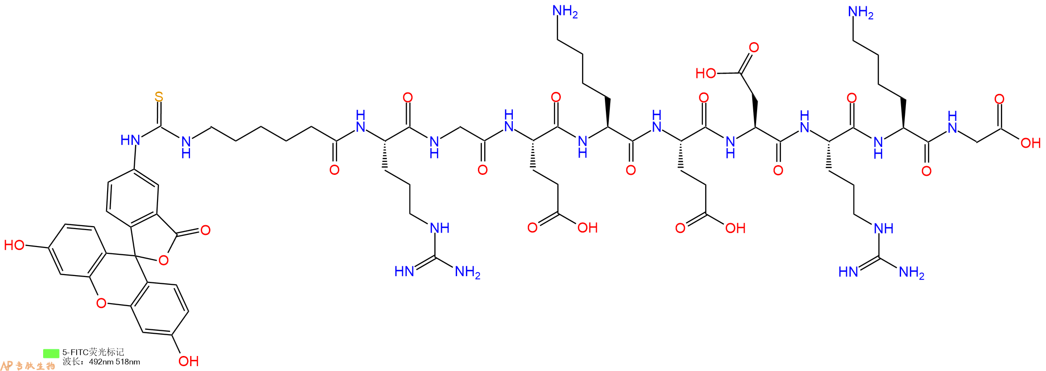 专肽生物产品5FITC-Ahx-Arg-Gly-Glu-Lys-Glu-Asp-Arg-Lys-Gly-OH