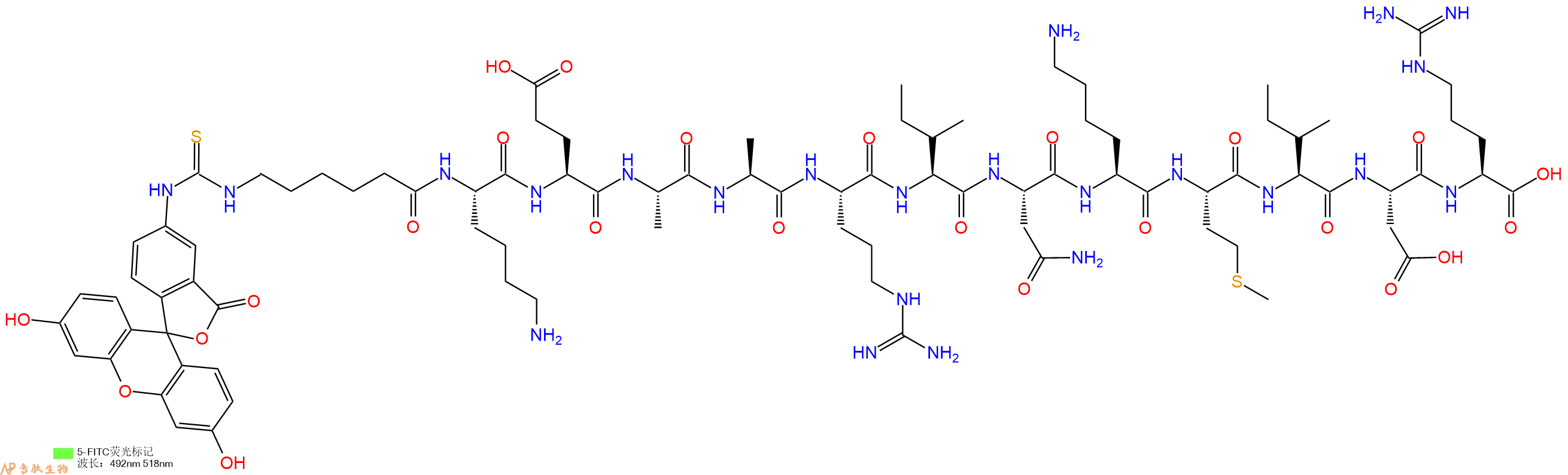 专肽生物产品5FITC-Ahx-Lys-Glu-Ala-Ala-Arg-Ile-Asn-Lys-Met-Ile-Asp-Arg-OH