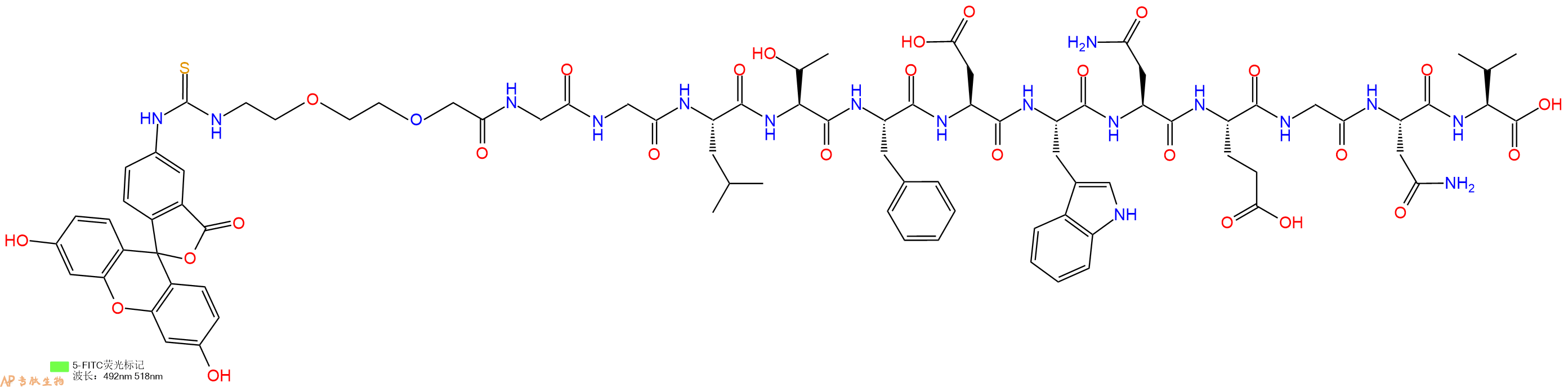 专肽生物产品5FITC-PEG2-Gly-Gly-Leu-Thr-Phe-Asp-Trp-Asn-Glu-Gly-Asn-Val