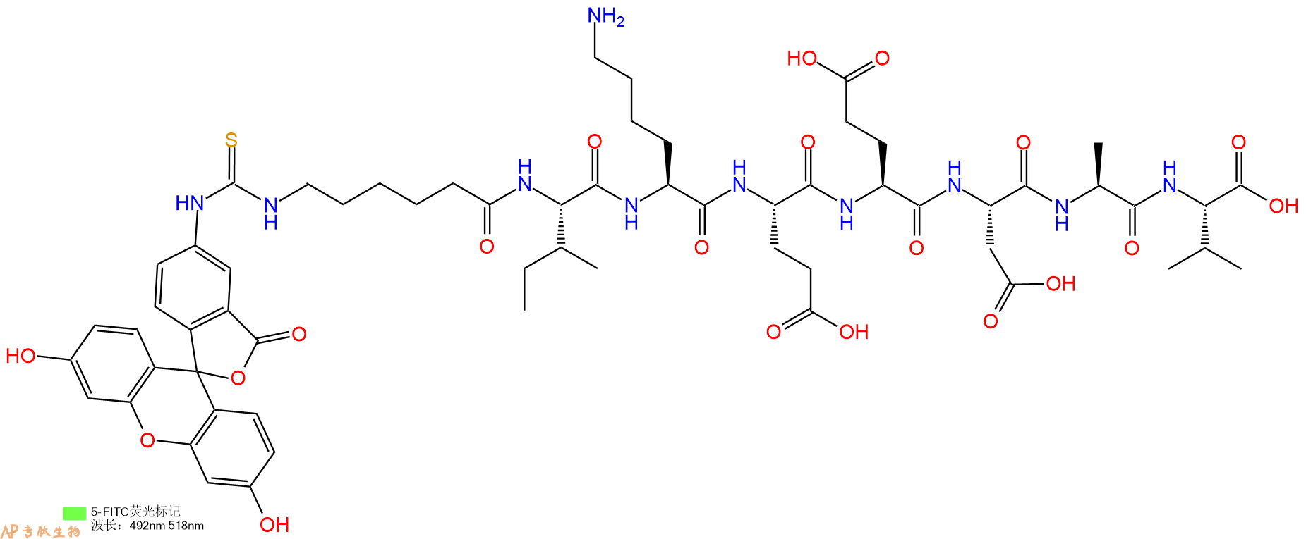 专肽生物产品5FITC-Ahx-Ile-Lys-Glu-Glu-Asp-Ala-Val-OH