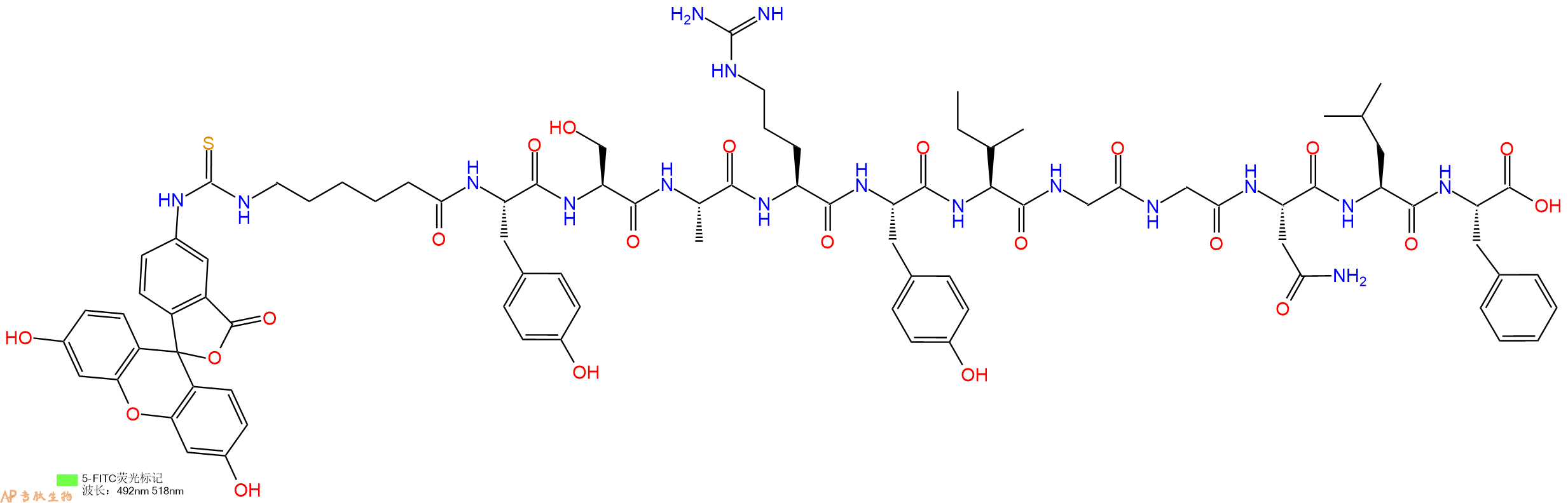 专肽生物产品5FITC-Ahx-Tyr-Ser-Ala-Arg-Tyr-Ile-Gly-Gly-Asn-Leu-Phe-OH