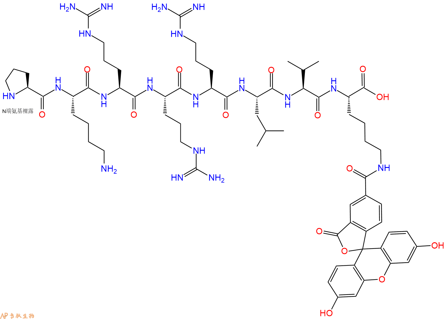 专肽生物产品H2N-Pro-Lys-Arg-Arg-Arg-Leu-Val-Lys(5FAM)-OH