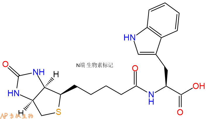 专肽生物产品Biotinyl-Trp-OH
