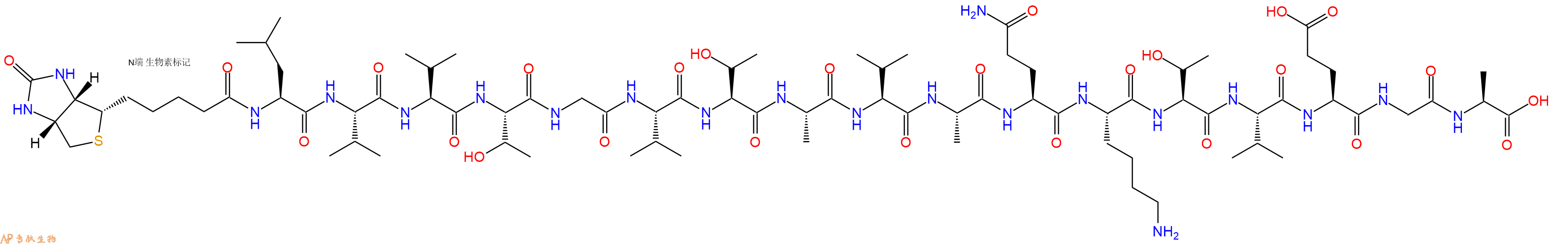 专肽生物产品Biotinyl-Leu-Val-Val-Thr-Gly-Val-Thr-Ala-Val-Ala-Gln-Lys-Thr-Val-Glu-Gly-Ala-OH
