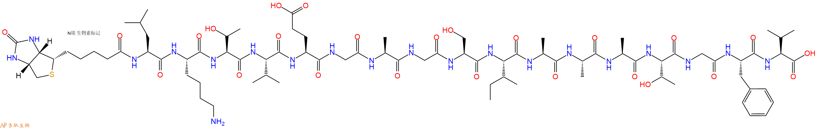 专肽生物产品Biotinyl-Leu-Lys-Thr-Val-Glu-Gly-Ala-Gly-Ser-Ile-Ala-Ala-Ala-Thr-Gly-Phe-Val-OH