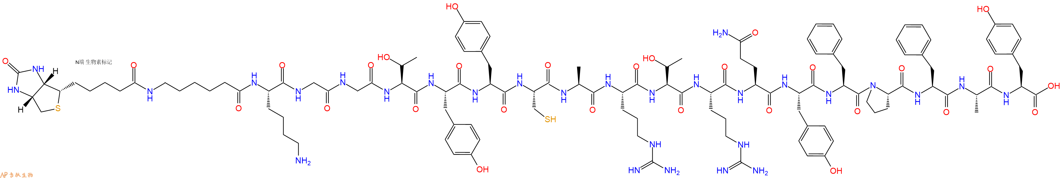 专肽生物产品Biotinyl-Ahx-Lys-Gly-Gly-Thr-Tyr-Tyr-Cys-Ala-Arg-Thr-Arg-Gln-Tyr-Phe-Pro-Phe-Ala-Tyr-OH