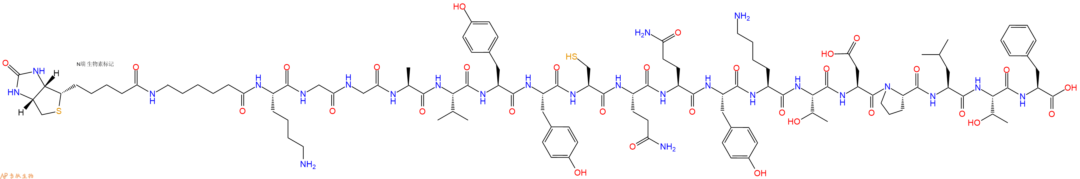 专肽生物产品Biotinyl-Ahx-Lys-Gly-Gly-Ala-Val-Tyr-Tyr-Cys-Gln-Gln-Tyr-Lys-Thr-Asp-Pro-Leu-Thr-Phe-OH