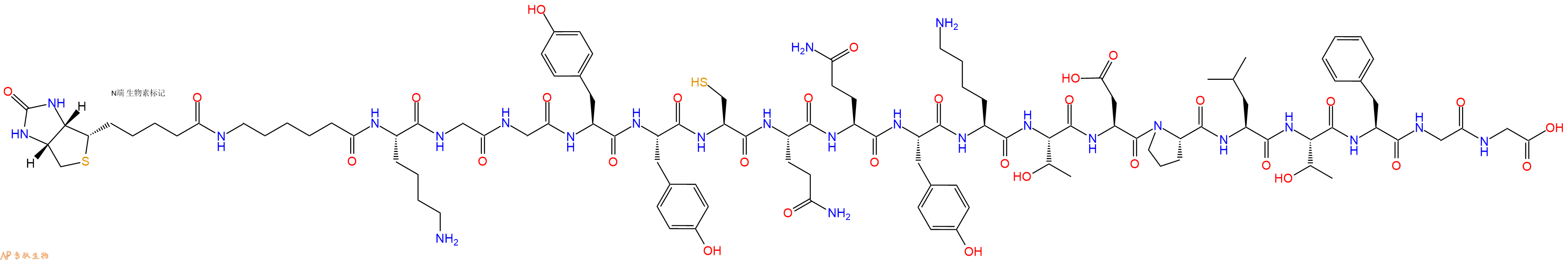 专肽生物产品Biotinyl-Ahx-Lys-Gly-Gly-Tyr-Tyr-Cys-Gln-Gln-Tyr-Lys-Thr-Asp-Pro-Leu-Thr-Phe-Gly-Gly-OH
