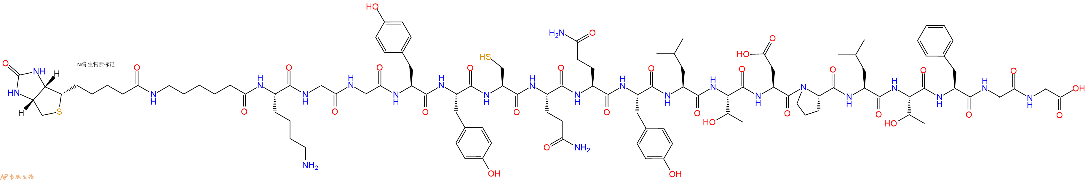 专肽生物产品Biotinyl-Ahx-Lys-Gly-Gly-Tyr-Tyr-Cys-Gln-Gln-Tyr-Leu-Thr-Asp-Pro-Leu-Thr-Phe-Gly-Gly-OH