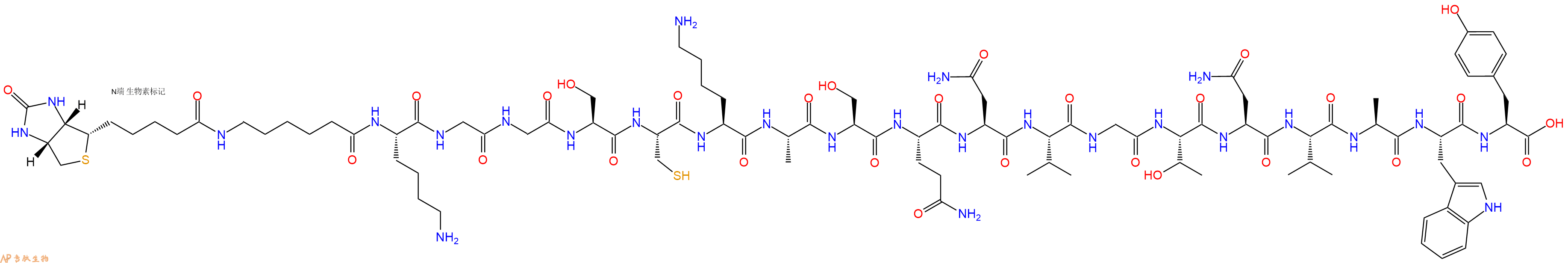 专肽生物产品Biotinyl-Ahx-Lys-Gly-Gly-Ser-Cys-Lys-Ala-Ser-Gln-Asn-Val-Gly-Thr-Asn-Val-Ala-Trp-Tyr-OH
