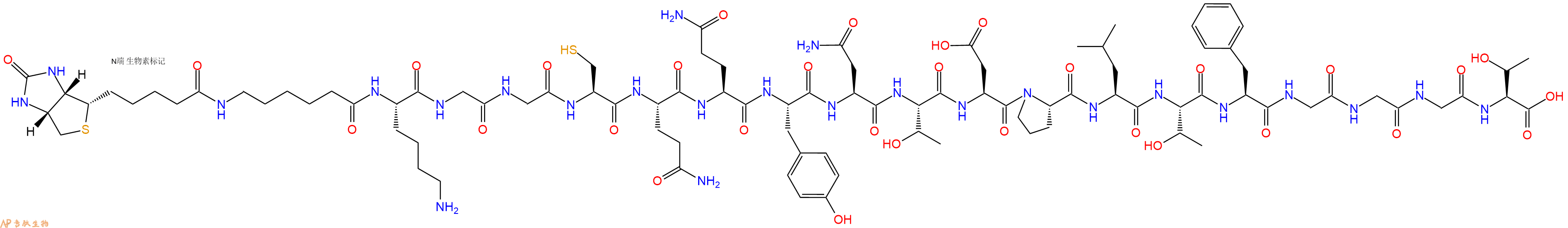 专肽生物产品Biotinyl-Ahx-Lys-Gly-Gly-Cys-Gln-Gln-Tyr-Asn-Thr-Asp-Pro-Leu-Thr-Phe-Gly-Gly-Gly-Thr-OH