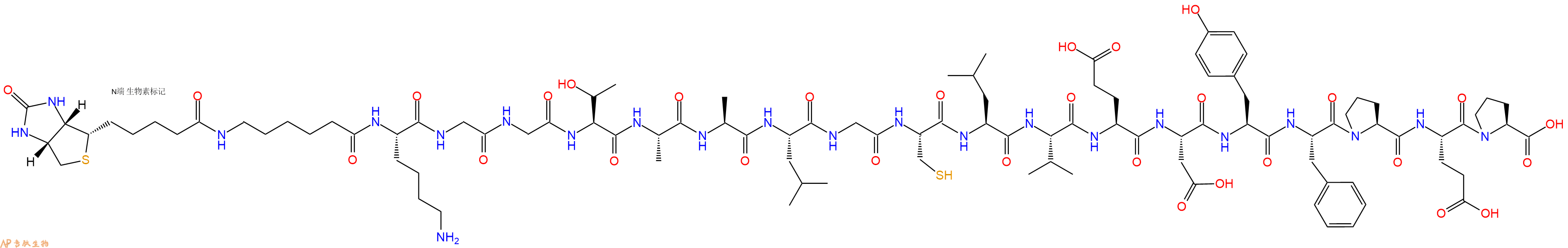 专肽生物产品Biotinyl-Ahx-Lys-Gly-Gly-Thr-Ala-Ala-Leu-Gly-Cys-Leu-Val-Glu-Asp-Tyr-Phe-Pro-Glu-Pro-OH