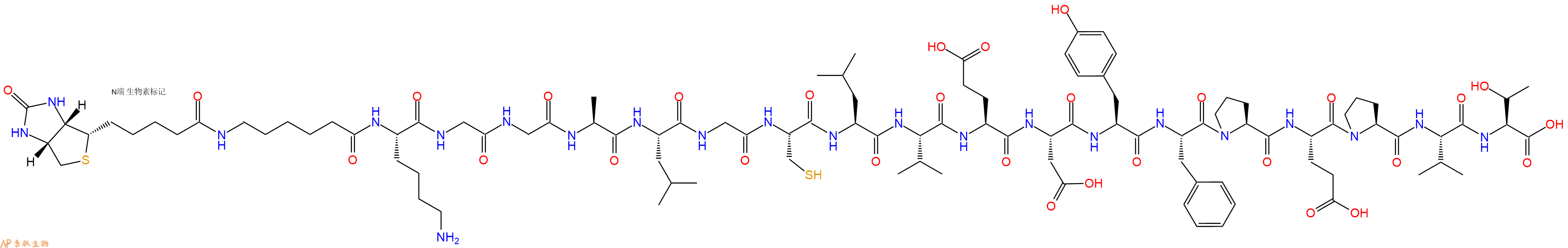 专肽生物产品Biotinyl-Ahx-Lys-Gly-Gly-Ala-Leu-Gly-Cys-Leu-Val-Glu-Asp-Tyr-Phe-Pro-Glu-Pro-Val-Thr-OH