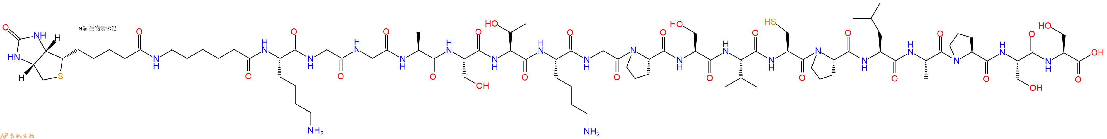 专肽生物产品Biotinyl-Ahx-Lys-Gly-Gly-Ala-Ser-Thr-Lys-Gly-Pro-Ser-Val-Cys-Pro-Leu-Ala-Pro-Ser-Ser-OH