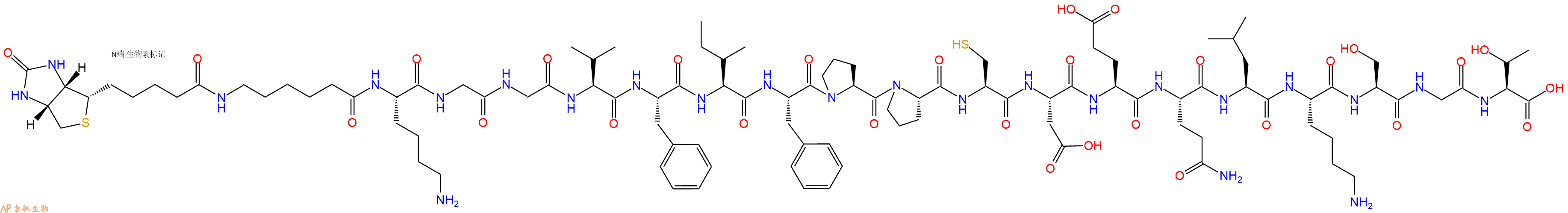 专肽生物产品Biotinyl-Ahx-Lys-Gly-Gly-Val-Phe-Ile-Phe-Pro-Pro-Cys-Asp-Glu-Gln-Leu-Lys-Ser-Gly-Thr-OH